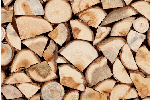Підготовка дров до зими. На що слід звернути увагу?