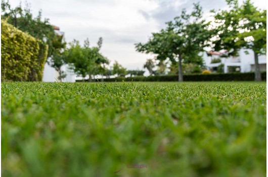 Як відновити газон після зими: покрокове керівництво