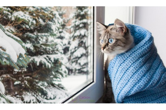 Речі, які можуть стати в нагоді цієї зими в Україні