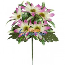 Букет Айстри бордюр 21см (№375)