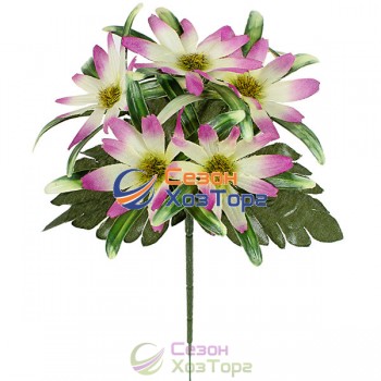 Букет Астры бордюр 21см (№375)