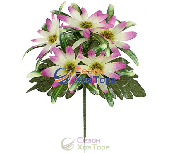 Букет Астры бордюр 21см (№375)