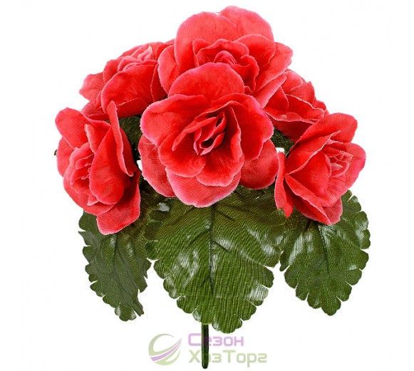 Букет Роз в розетке 19 см (№863)