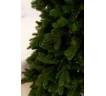 Саморозкладна лита ялина Нью-Йорк 2,3 м