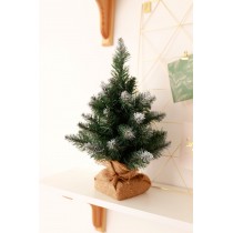 Ялина Європейська міні на підставці 0,4м