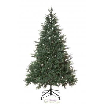 Смерека Карпатська Лита зелена 2,3м