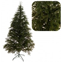 Смерека Карпатська Лита зелена 2,1м