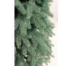 Ялина лита "VIP Роял" зелена, блакитна хвоя "5 гілочок" 2,3м