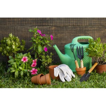 Будинок, сад, город Будинок, сад, город