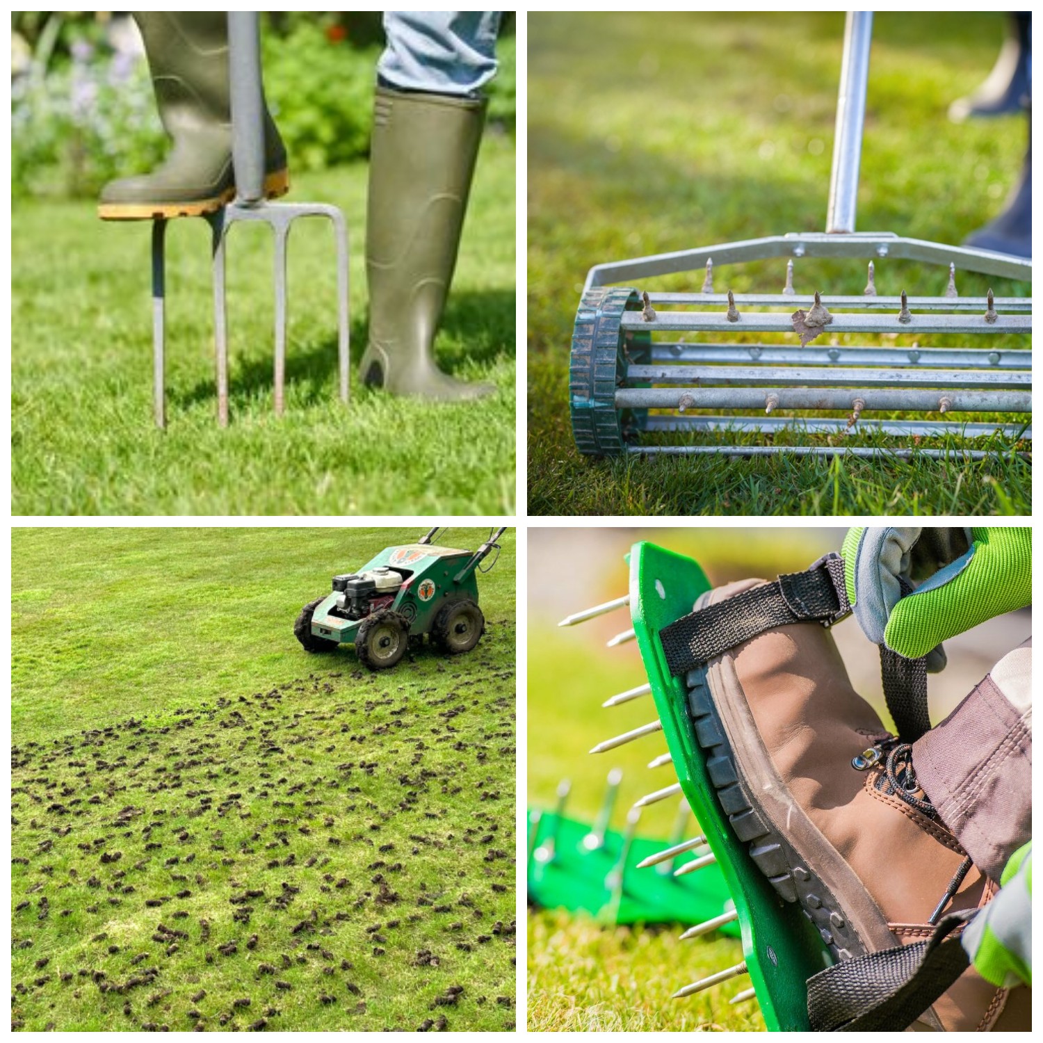 догляд за газоном після зими