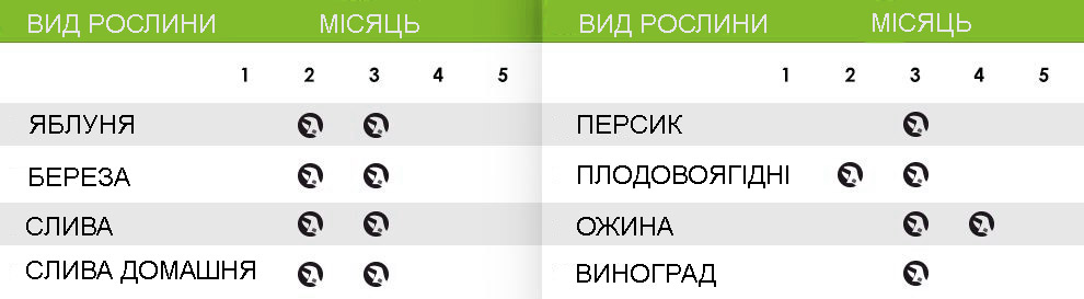 обрізання дерев