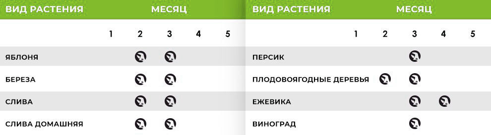 обрезка деревьев