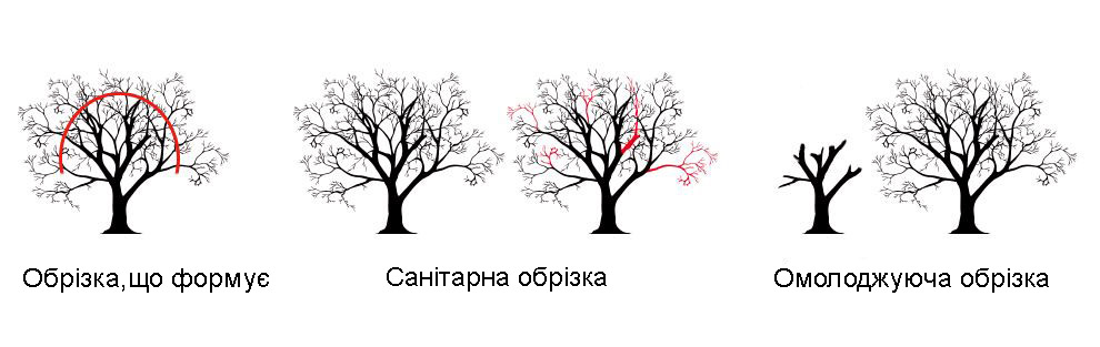 обрізання дерев