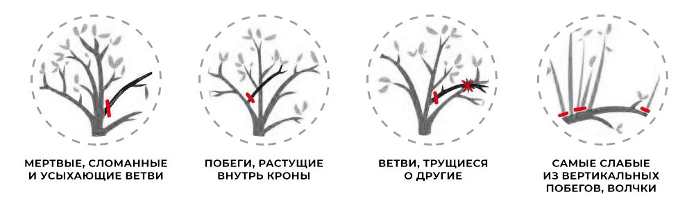 обрезка деревьев