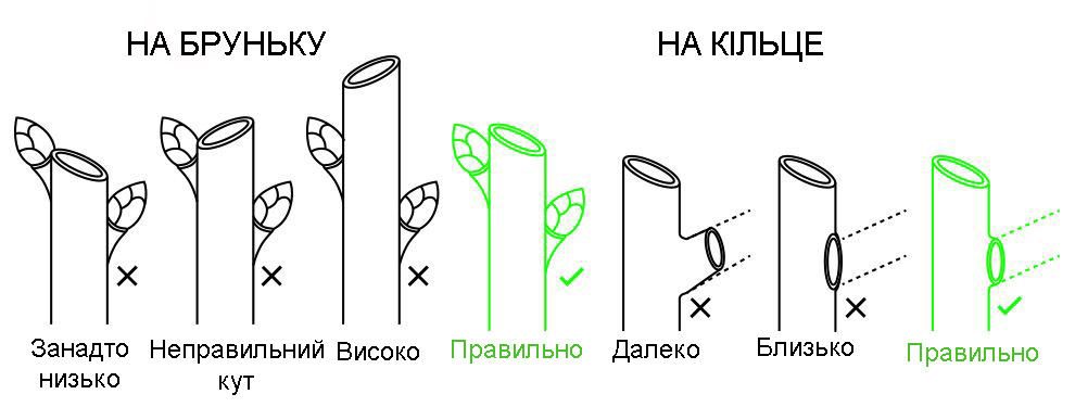 обрізання дерев