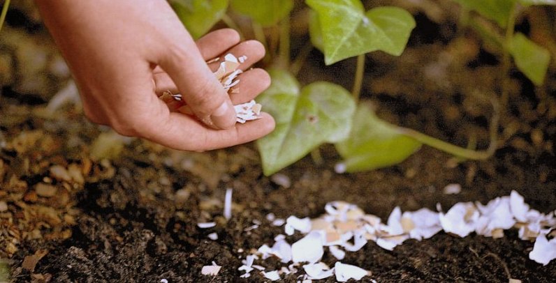 Удобрення грунту