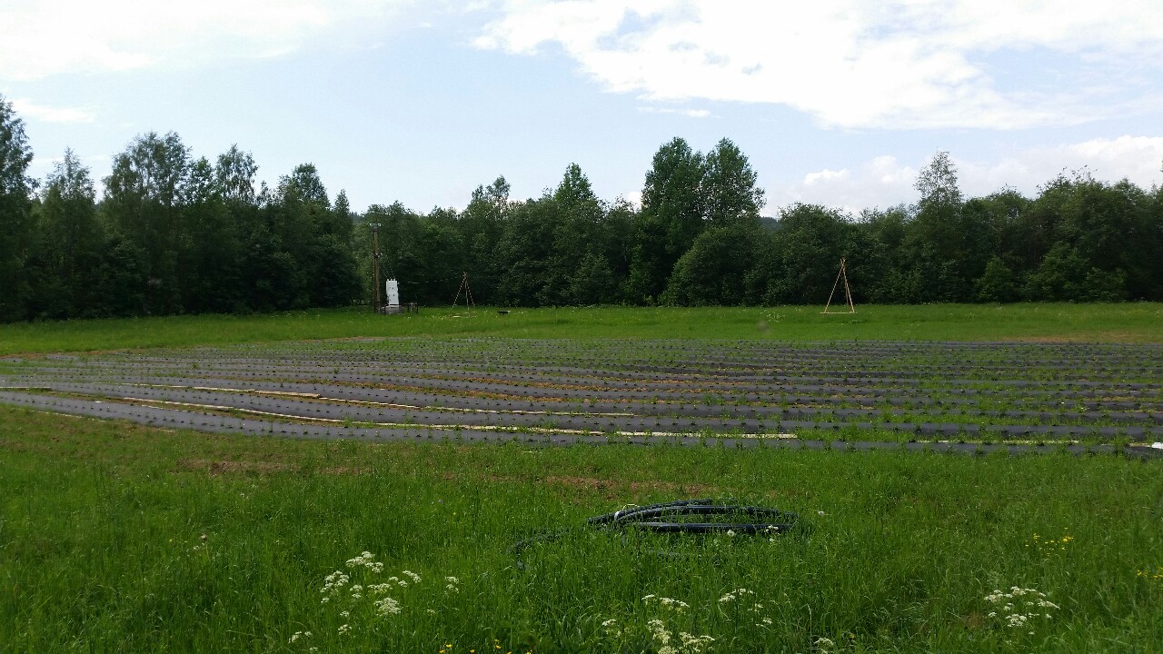 продолжительность полива